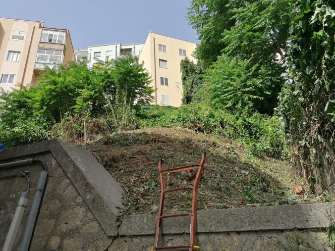 Catanzaro. Completate le operazioni di diserbo e decespugliamento in via Cilea images Catanzaro. Completate le operazioni di diserbo e decespugliamento in via Cilea