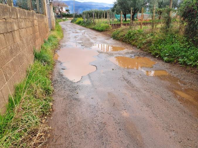 Lamezia Terme, il PD denuncia il degrado in Via dei Piceni: "Strada colabrodo, senza rete fognaria ed elettricità" images Lamezia Terme, il PD denuncia il degrado in Via dei Piceni: "Strada colabrodo, senza rete fognaria ed elettricità"