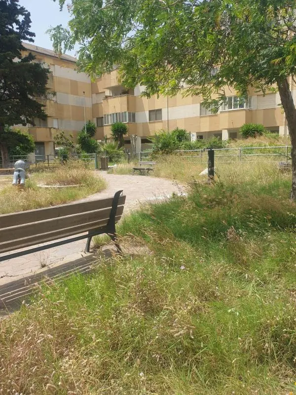 Alleanza per Catanzaro: "I cittadini di via Formia esasperati da degrado e sporcizia" images Alleanza per Catanzaro: "I cittadini di via Formia esasperati da degrado e sporcizia"