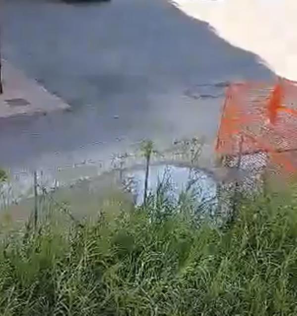 images Catanzaro, la perdita d'acqua su via Miraglia e l’intervento bluff del Comune: l’ira dei residenti 