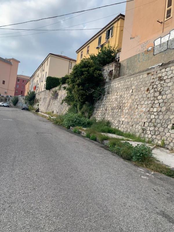 Catanzaro. Fogna a cielo aperto in via Stretto Cappuccini, la denuncia dell'Associazione Sud Democratici images Catanzaro. Fogna a cielo aperto in via Stretto Cappuccini, la denuncia dell'Associazione Sud Democratici