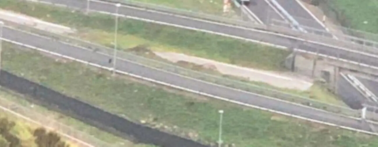 Catanzaro, testacoda di un camion su Viale de Filippis images Catanzaro, testacoda di un camion su Viale de Filippis