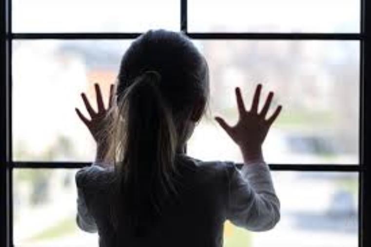 images Violenza sessuale sulla nipotina, a processo un trentottenne di Catanzaro