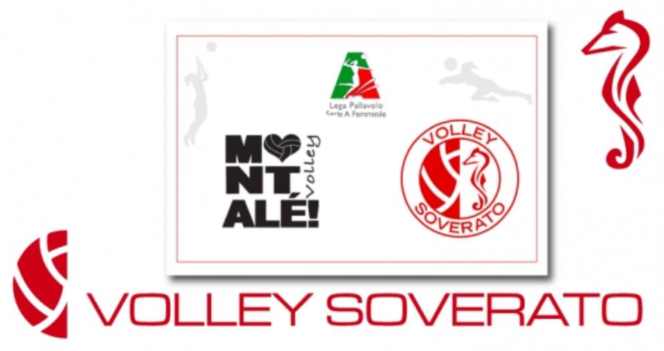 Grazie alle foto-trappole individuati e sanzionati a Catanzaro due “furbetti del sacchettino” in via Masciari images Grazie alle foto-trappole individuati e sanzionati a Catanzaro due “furbetti del sacchettino” in via Masciari