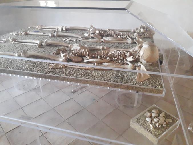 Us Catanzaro 1929, Auteri: "Partiamo da tante certezze ma dobbiamo completarci" images Us Catanzaro 1929, Auteri: "Partiamo da tante certezze ma dobbiamo completarci"