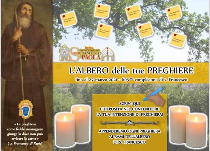 Paola, i Frati inventano "L'albero di San Francesco", per raccogliere le preghiere dei fedeli images Paola, i Frati inventano "L'albero di San Francesco", per raccogliere le preghiere dei fedeli