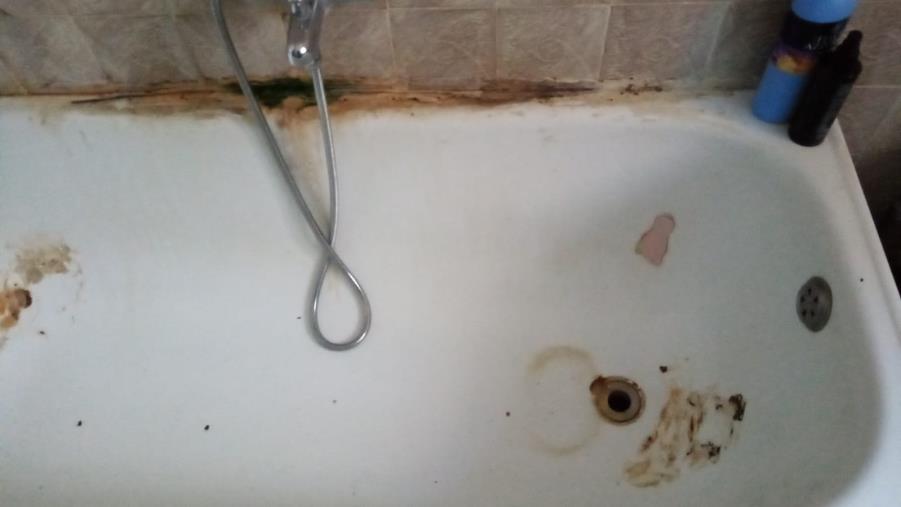 Girifalco. Casa popolare nel degrado, nuovo appello di Anna: "Finora vana ogni richiesta di aiuto, solo promesse non mantenute" images Girifalco. Casa popolare nel degrado, nuovo appello di Anna: "Finora vana ogni richiesta di aiuto, solo promesse non mantenute"