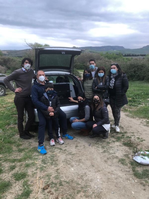 images Catanzaro. I volontari di Vitambiente recuperano e curano una cagnolina abbandonata