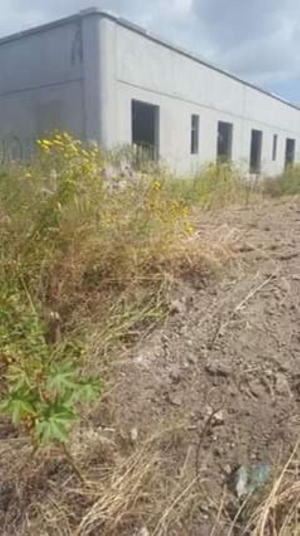 Ripulito a Giovino il fabbricato preda dell'incuria, dopo la segnalazione di Stefano Veraldi e Aurelia Granato images Ripulito a Giovino il fabbricato preda dell'incuria, dopo la segnalazione di Stefano Veraldi e Aurelia Granato