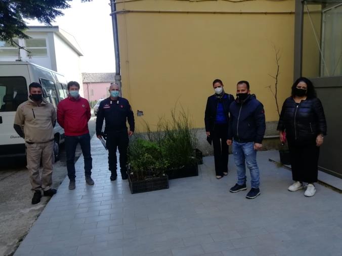 images Girifalco pianta un "Albero per il futuro" della comunità
