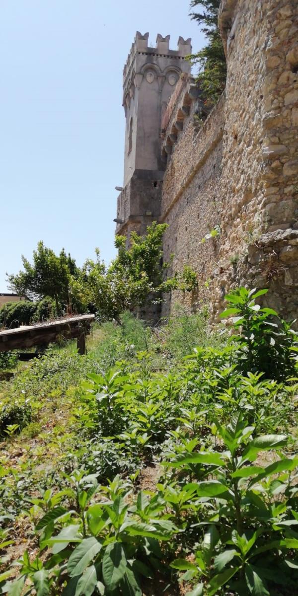 Catanzaro. Largo Prigioni, dove il fascino del centro storico lascia spazio all'incuria (FOTO) images Catanzaro. Largo Prigioni, dove il fascino del centro storico lascia spazio all'incuria (FOTO)