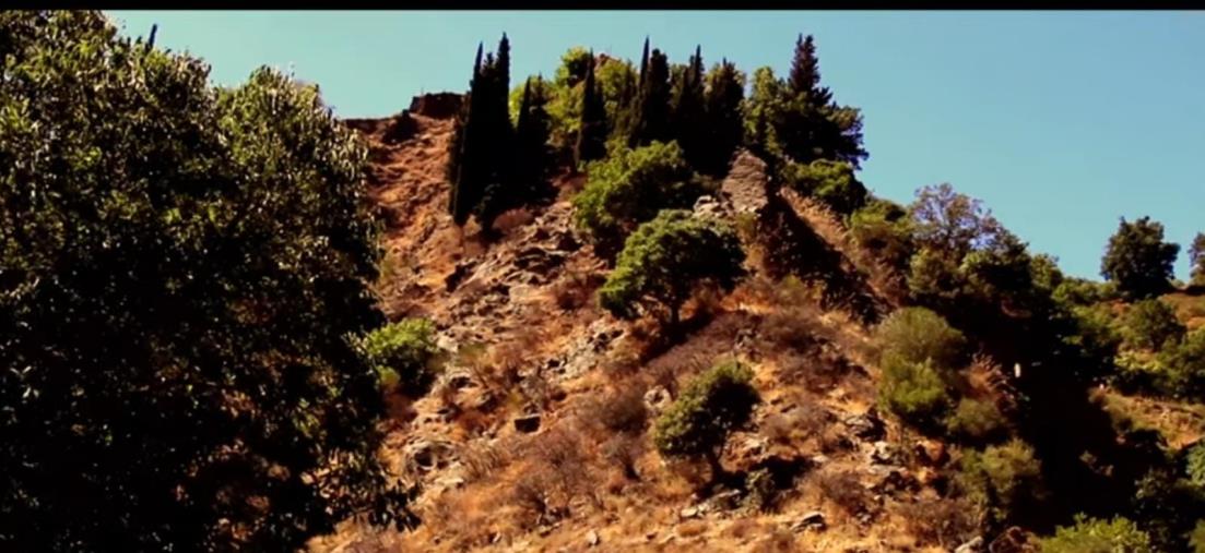 Artisti calabresi insieme chiedono giustizia per una "Calabria che brucia" images Artisti calabresi insieme chiedono giustizia per una "Calabria che brucia"
