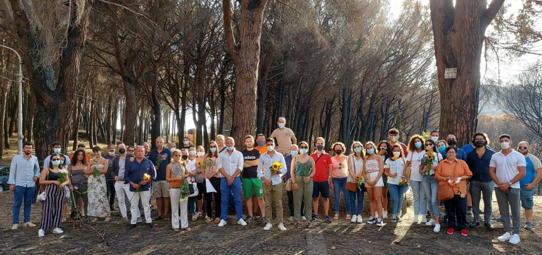 images Fiori e colori nella pineta di Siano dopo l'appello di Alfredo Moniaci: "Spero sia l'inizio per dei progetti di riqualifica" 