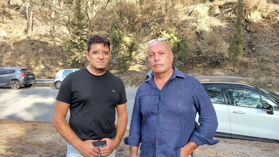 images Pineta di Siano. Vitambiente e l'artista catanzarese Nuccio Loreti insieme per contribuire alla ripresa dell'area verde