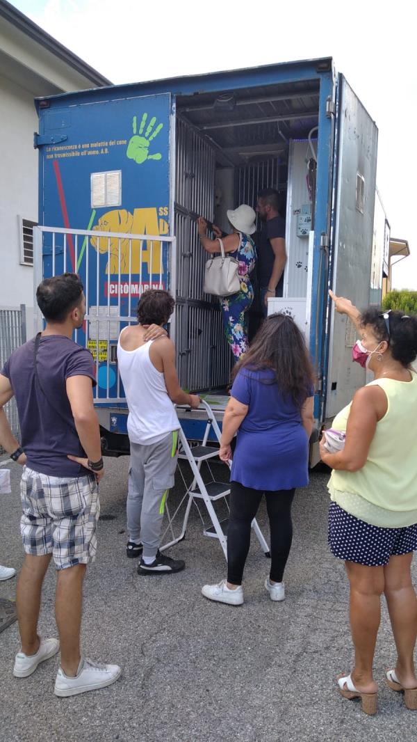 Cropani. Cuccioli abbandonati trovano casa: nei giorni scorsi la staffetta verso una nuova vita images Cropani. Cuccioli abbandonati trovano casa: nei giorni scorsi la staffetta verso una nuova vita