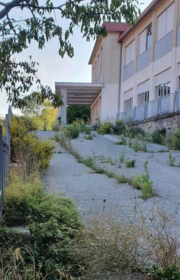 Squillace. Zofrea e Oldani Mesoraca: “L’ex istituto d’arte ora è del Comune, restituiamolo ai cittadini" images Squillace. Zofrea e Oldani Mesoraca: “L’ex istituto d’arte ora è del Comune, restituiamolo ai cittadini"