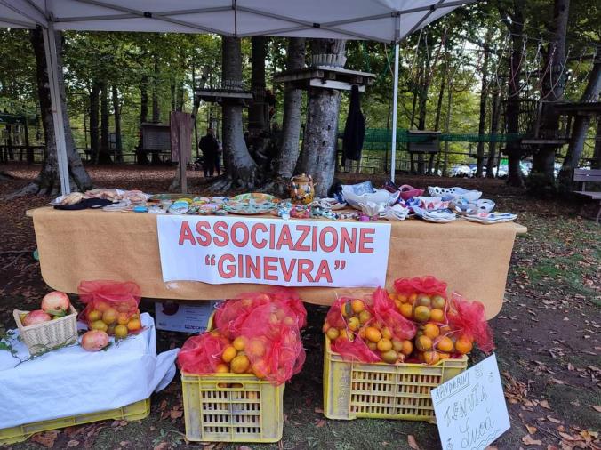 images Cropani. Successo per la manifestazione “Autunno in Festa” con l'associazione Ginevra 
