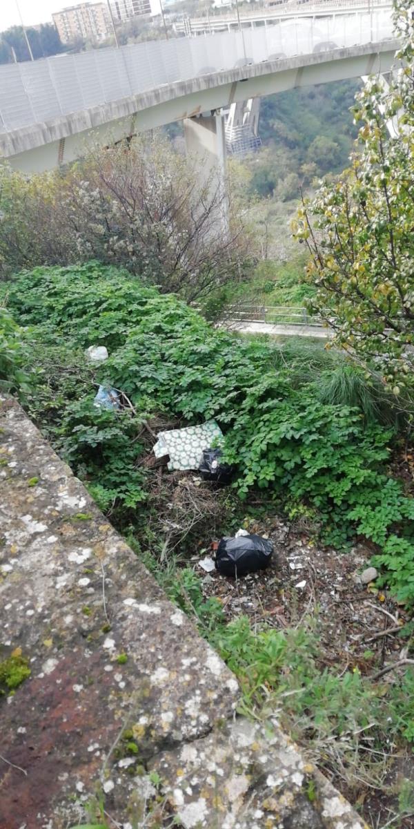 Catanzaro, via Carlo V ancora usata come ricettacolo di rifiuti. I residenti chiedono le fototrappole (FOTO) images Catanzaro, via Carlo V ancora usata come ricettacolo di rifiuti. I residenti chiedono le fototrappole (FOTO)