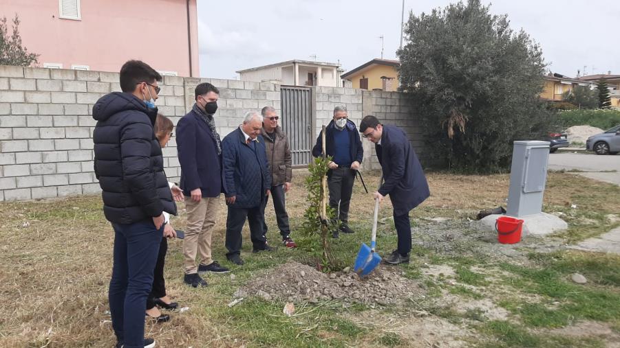A Cropani e Botricello BCC Centro Calabria pianta 250 alberi nell'ambito del progetto “BancaBosco” images A Cropani e Botricello BCC Centro Calabria pianta 250 alberi nell'ambito del progetto “BancaBosco”