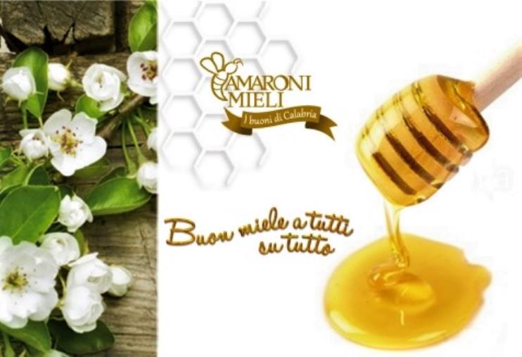 images A Condoleo di Belcastro anche il miele di Amaroni è “Nutri-Menti”