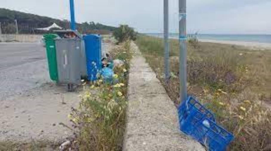 Sellia Marina, il “Comitato San Vincenzo” prende forma e incontra il sindaco  Francesco Mauro images Sellia Marina, il “Comitato San Vincenzo” prende forma e incontra il sindaco  Francesco Mauro