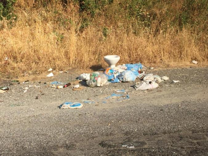 images Bosco Li Comuni, immondizia e wc fermi da oltre 150 giorni: la denuncia di Gironda