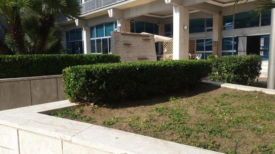 Catanzaro, ripulite (a costo zero) le aree verdi attorno al palazzo della Provincia images Catanzaro, ripulite (a costo zero) le aree verdi attorno al palazzo della Provincia