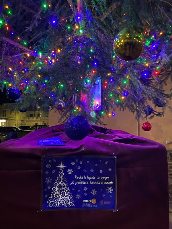 images A Botricello l’albero della legalità del Rotary Club Cropani
