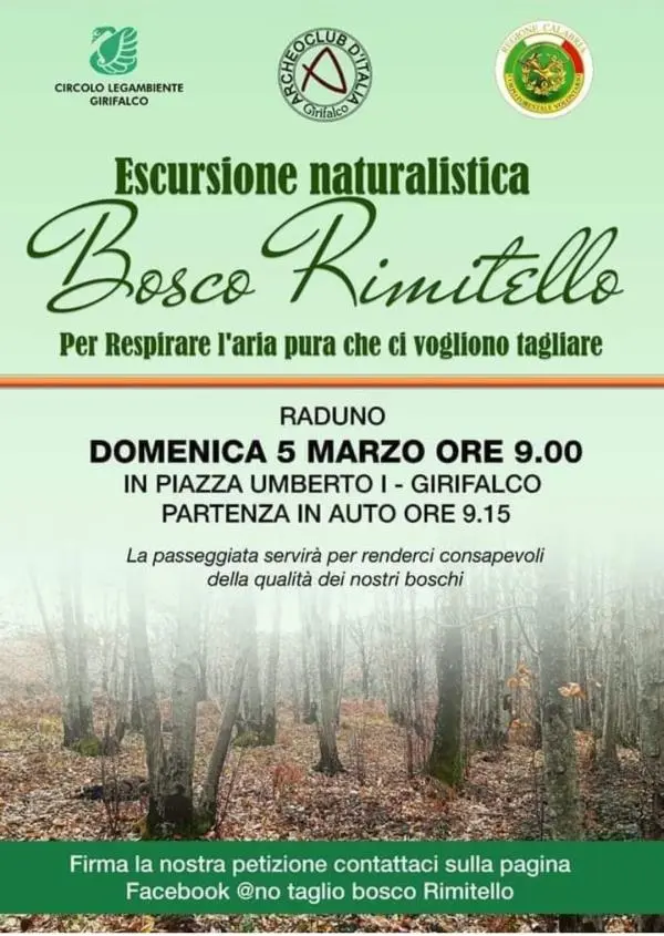 Taglio bosco Rimitello: il Comune di Girifalco va avanti, il Comitato del No raccoglie le firme e domenica scende in piazza images Taglio bosco Rimitello: il Comune di Girifalco va avanti, il Comitato del No raccoglie le firme e domenica scende in piazza