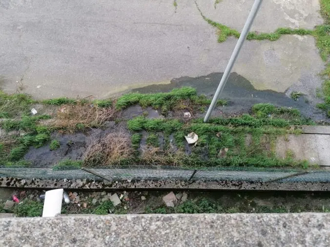 Girifalco, da mesi in via Battisti fogna a cielo aperto images Girifalco, da mesi in via Battisti fogna a cielo aperto