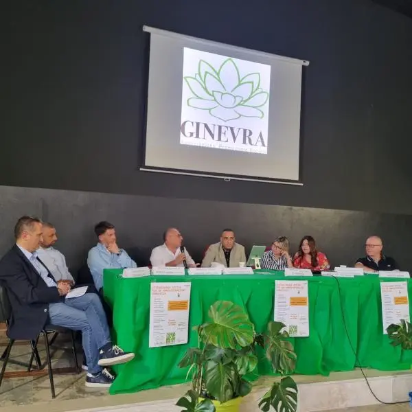Cittadinanza Attiva per un'amministrazione condivisa:
l'Associazione Ginevra promuove un evento dedicato alla crescita del territorio images Cittadinanza Attiva per un'amministrazione condivisa:
l'Associazione Ginevra promuove un evento dedicato alla crescita del territorio