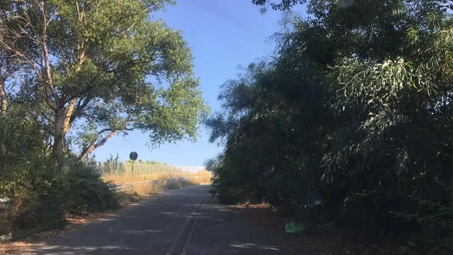 images Degrado, incuria e sporcizia sulla provinciale per Squillace lido e Copanello