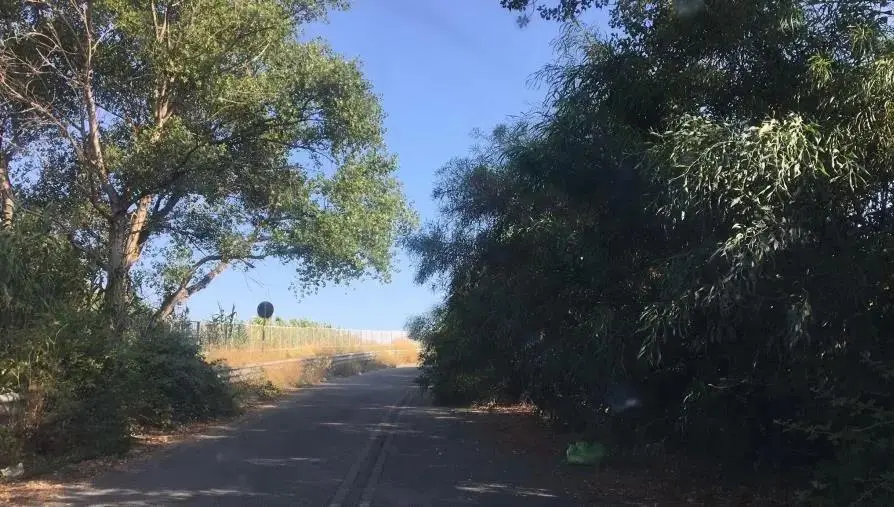 Degrado tra Squillace e Copanello, la Provincia scarica sul Comune: "È di loro competenza" images Degrado tra Squillace e Copanello, la Provincia scarica sul Comune: "È di loro competenza"