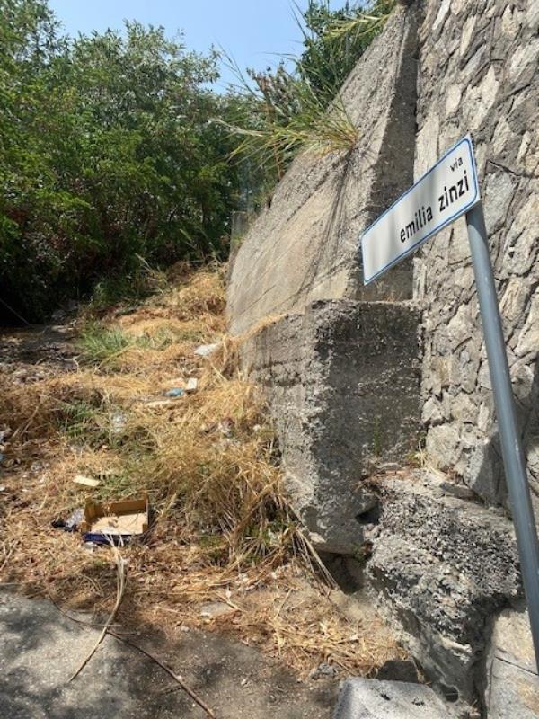 images Catanzaro. Stefano Veraldi: "C'era una volta una città che rispettava i suoi figli illustri: ora non c'è più"